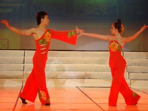 Đoàn nghệ thuật Thiên Tân biểu diễn tại Việt Nam